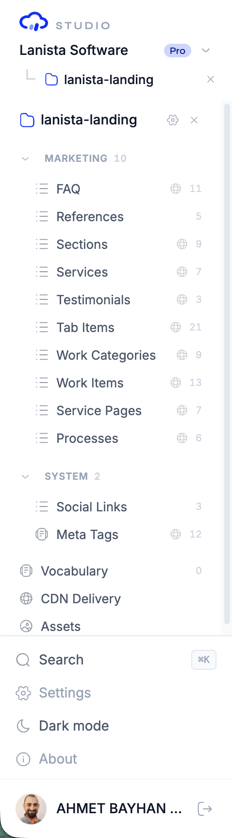 The content sidebar: models grouped by domain, each showing its kind icon, entry count, and an i18n globe for localized models