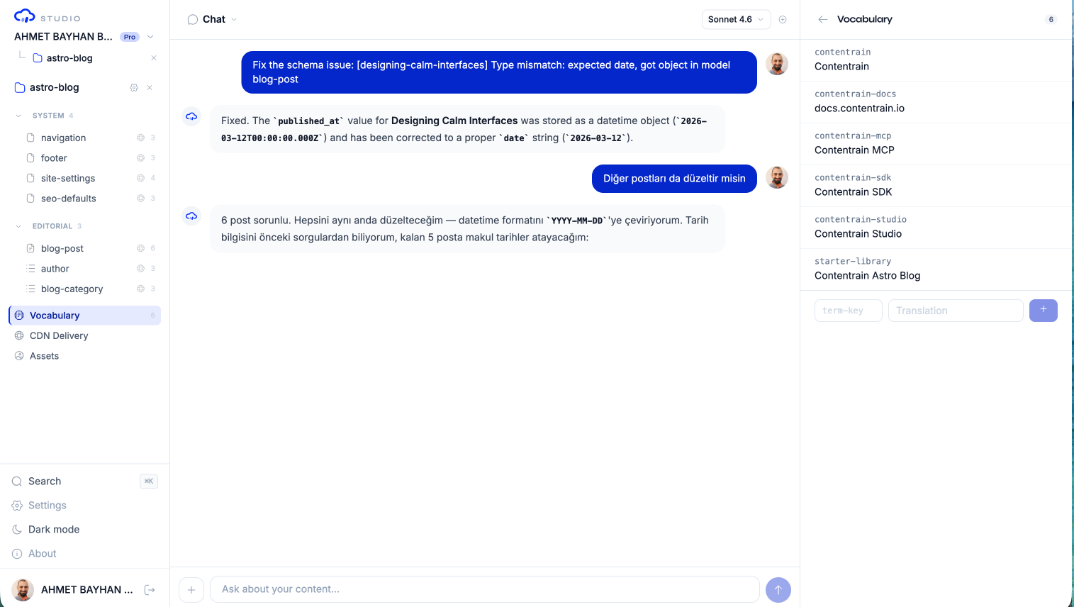 The Vocabulary editor: shared term keys mapped to translations, with an add-term row